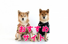 おすすめサイトバナー